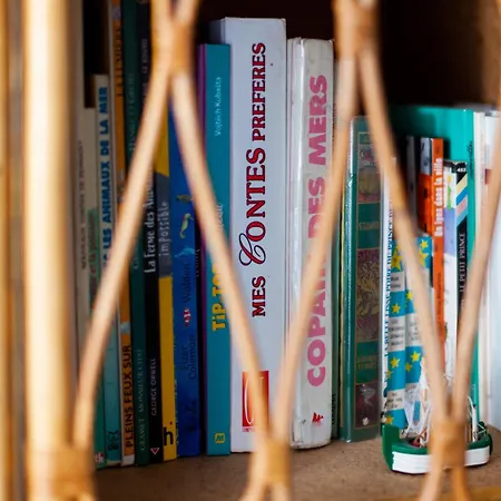 La Coquille - Vue Panoramique & Port Treport * Le Tréport